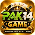 PAK14 Game logo with golden casino design.