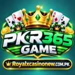 pkr365 Game logo image