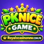 pknice game logo