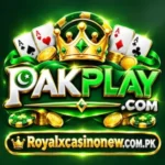 PAKPLAY GAME