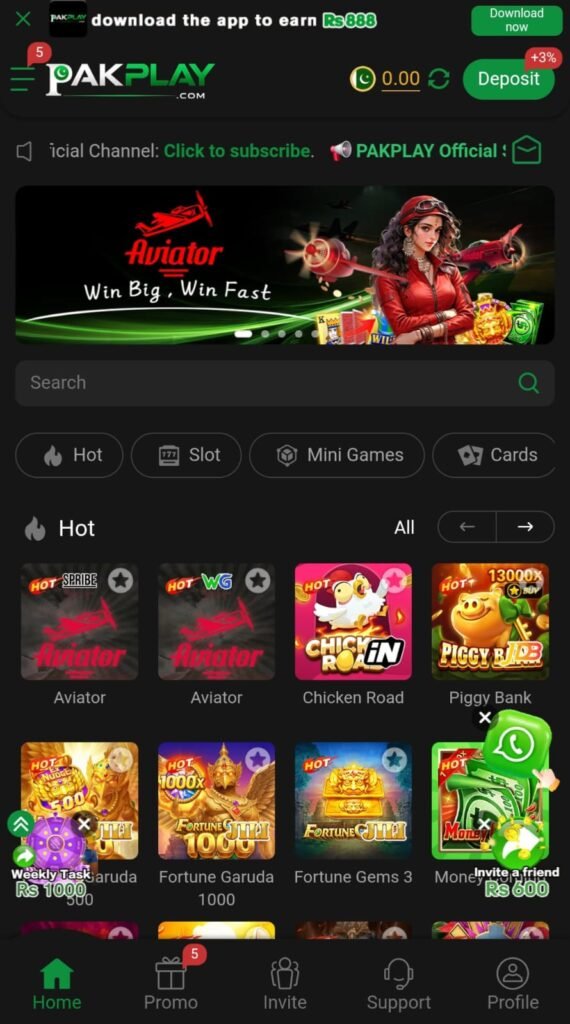 PAKPLAY GAME